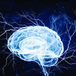 article image - brain